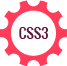 css3